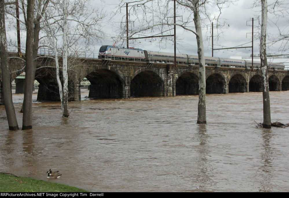 AMTK 645 on train 195 over a swollen Delaware River.